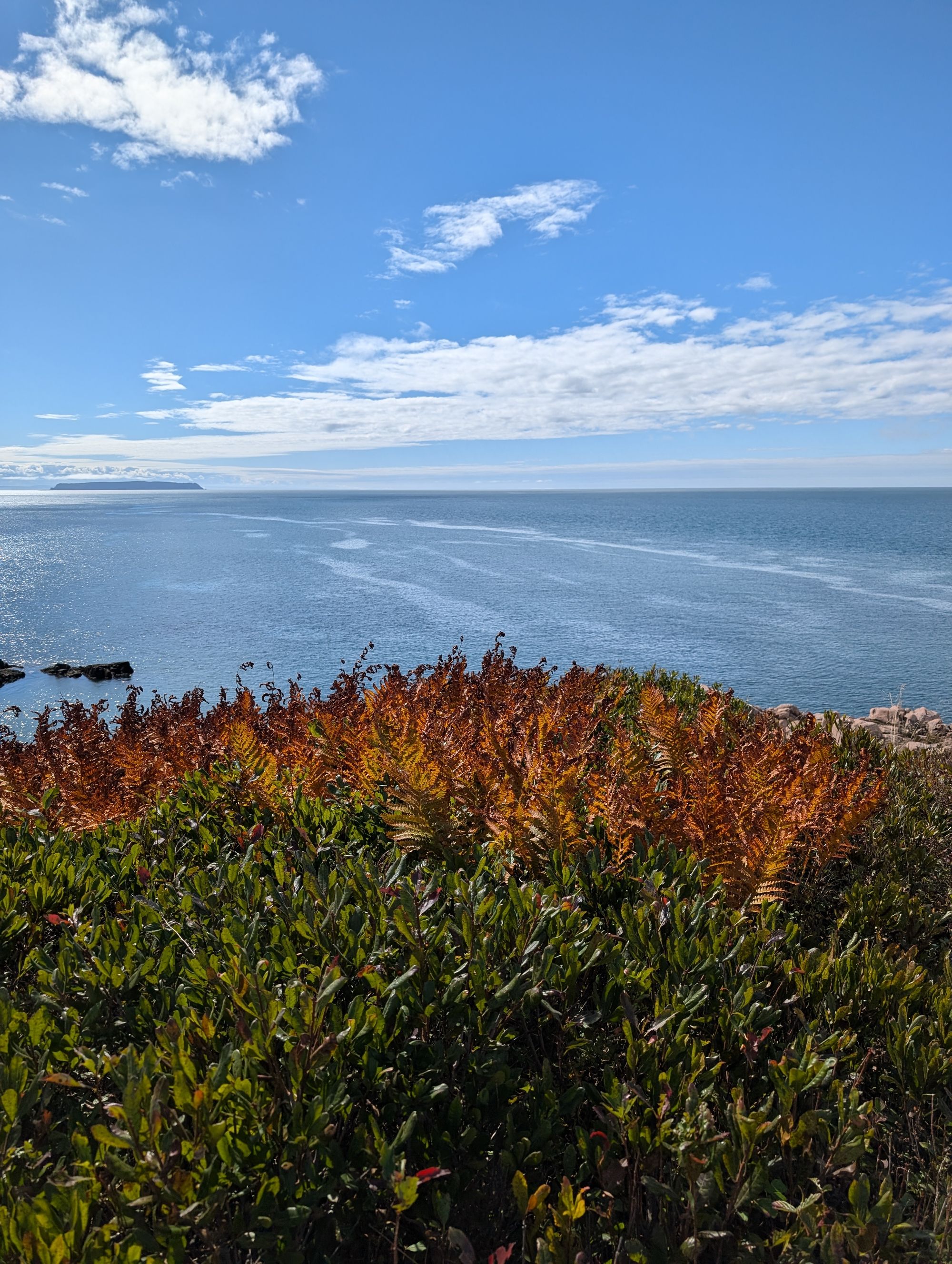 Cape Chignecto Coastal Loop