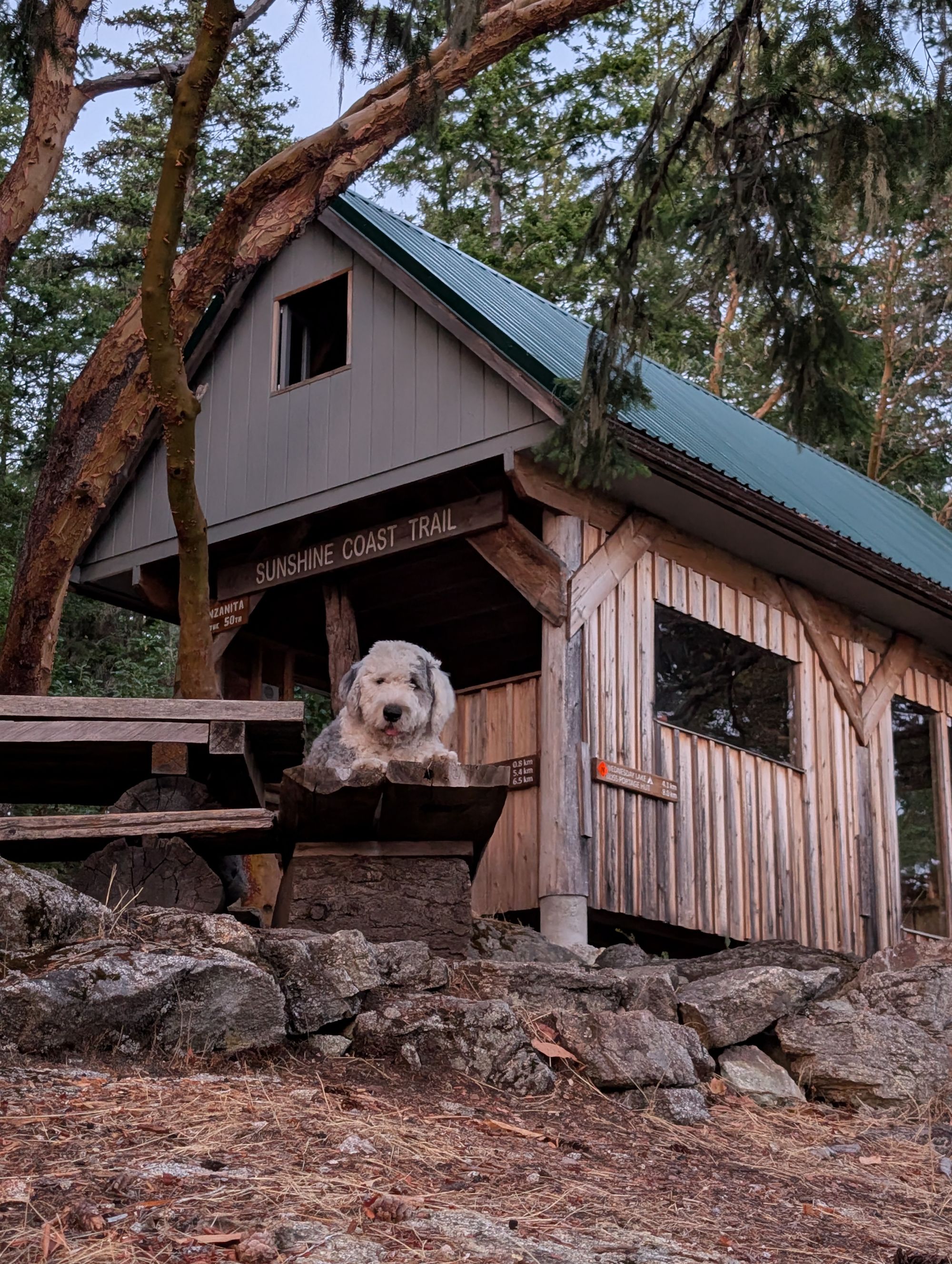 SCT Day 1: Sarah Point to Manzanita Hut