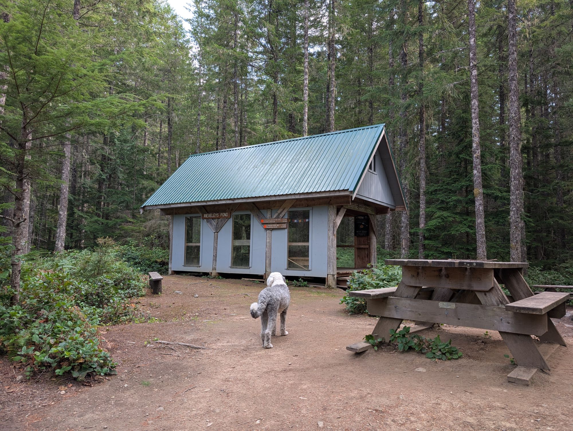 SCT Day 2: Manzanita Hut to Sliammon Lake (Kokanee Creek Camp)