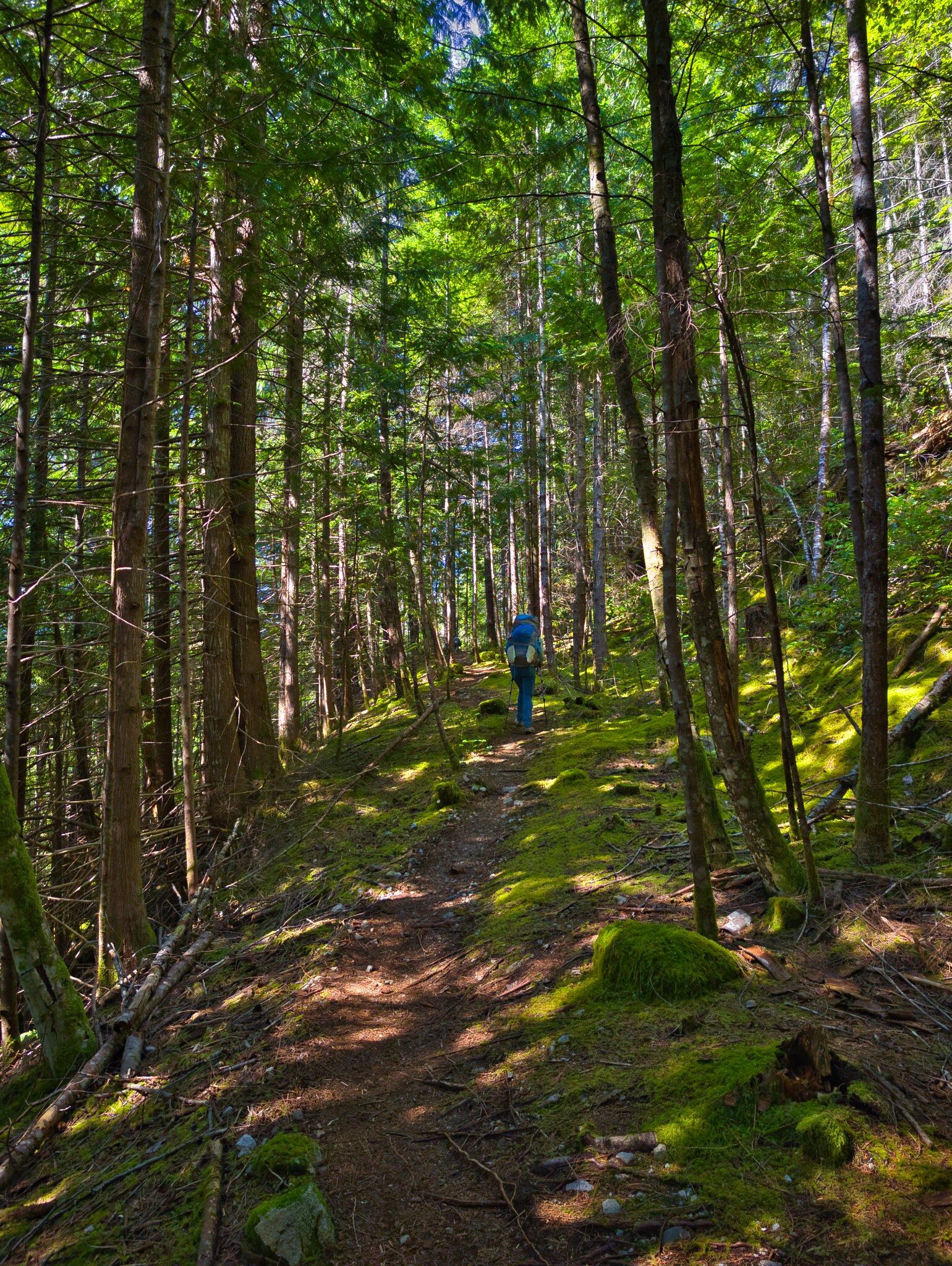 SCT Day 4: Haywire Bay to Confederation Lake Hut