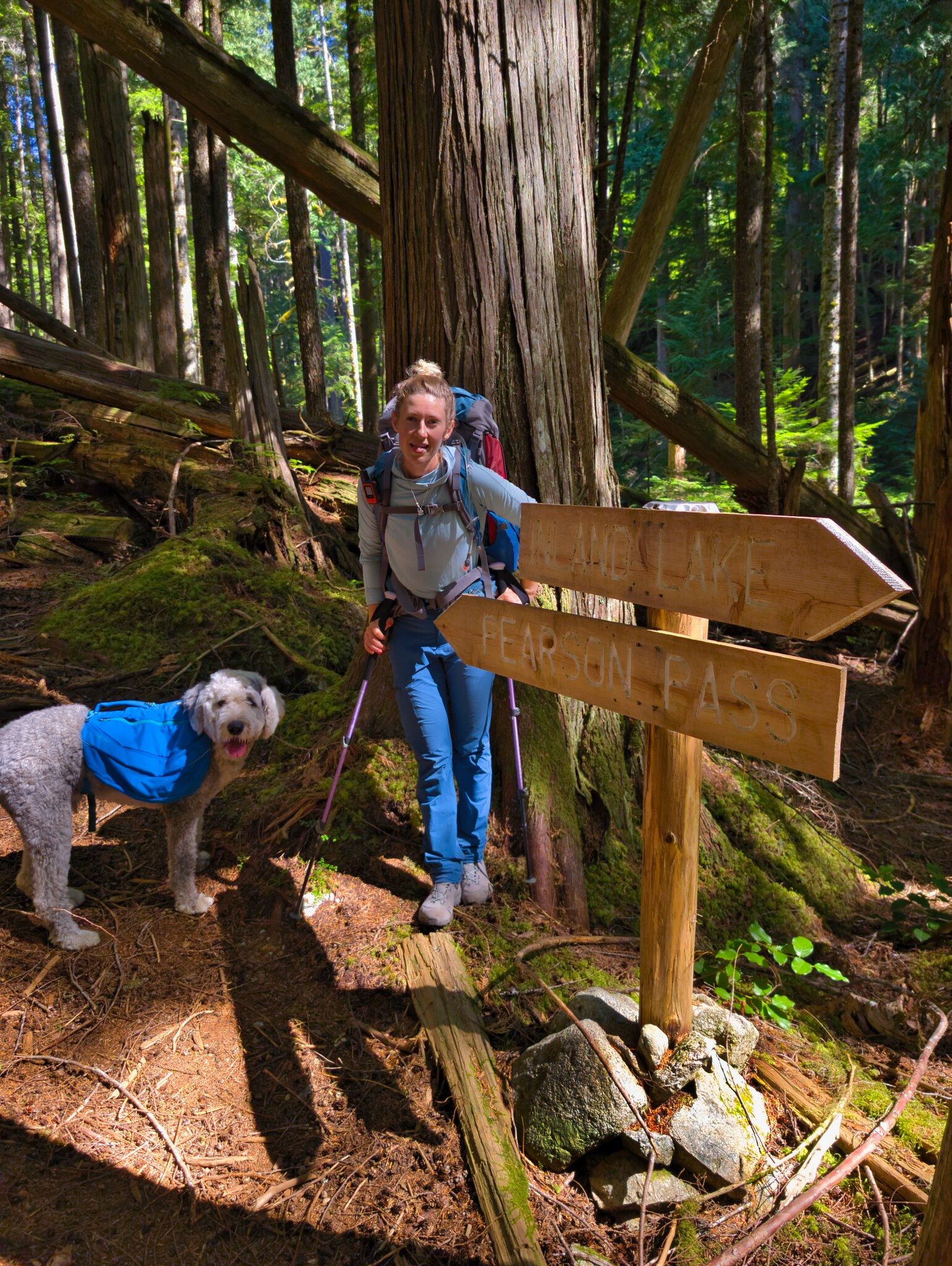 SCT Day 4: Haywire Bay to Confederation Lake Hut
