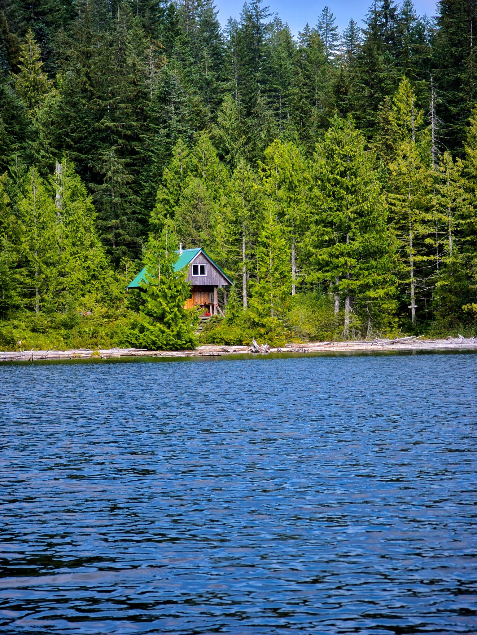 SCT Day 4: Haywire Bay to Confederation Lake Hut