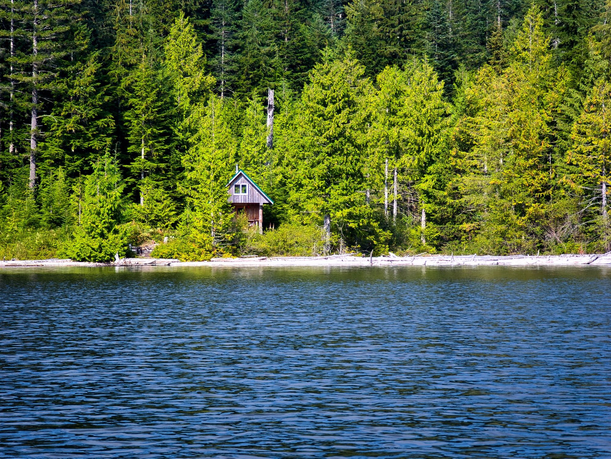 SCT Day 4: Haywire Bay to Confederation Lake Hut
