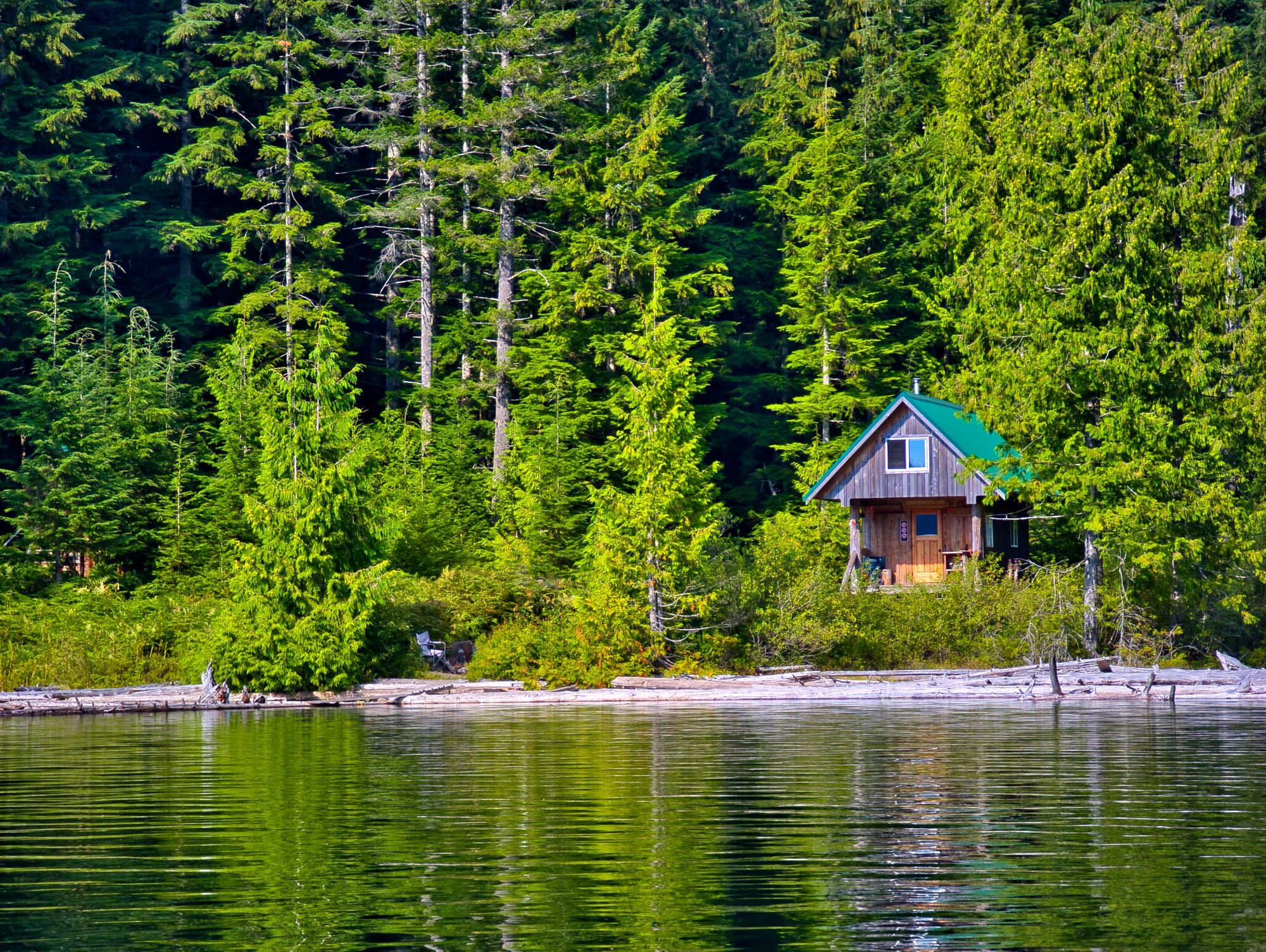 SCT Day 4: Haywire Bay to Confederation Lake Hut