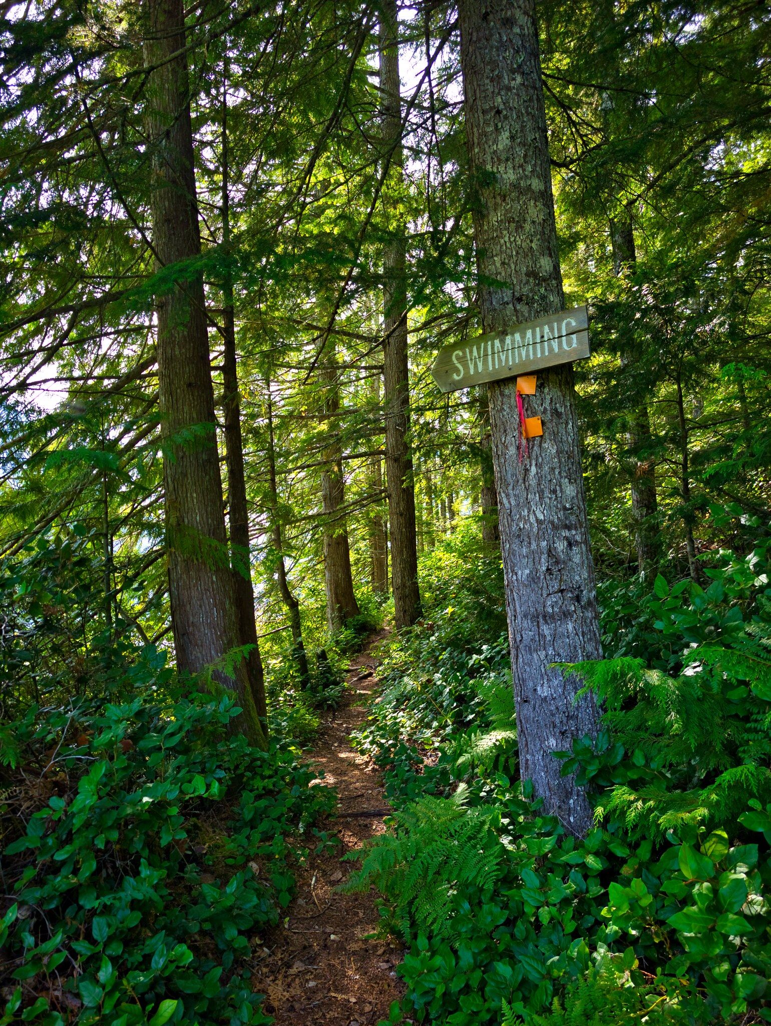 SCT Day 4: Haywire Bay to Confederation Lake Hut