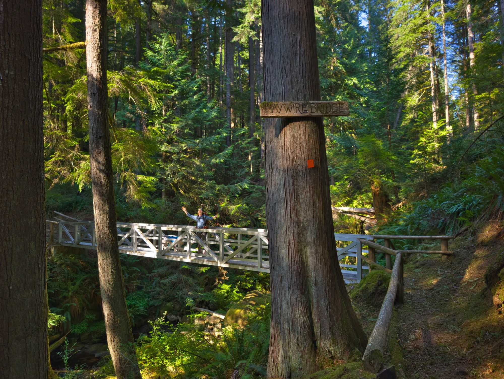 SCT Day 3: Sliammon Lake (Kokanee Creek Camp) to Haywire Bay