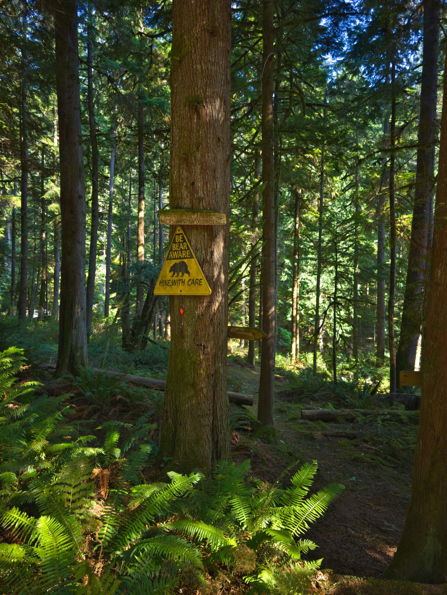 SCT Day 3: Sliammon Lake (Kokanee Creek Camp) to Haywire Bay