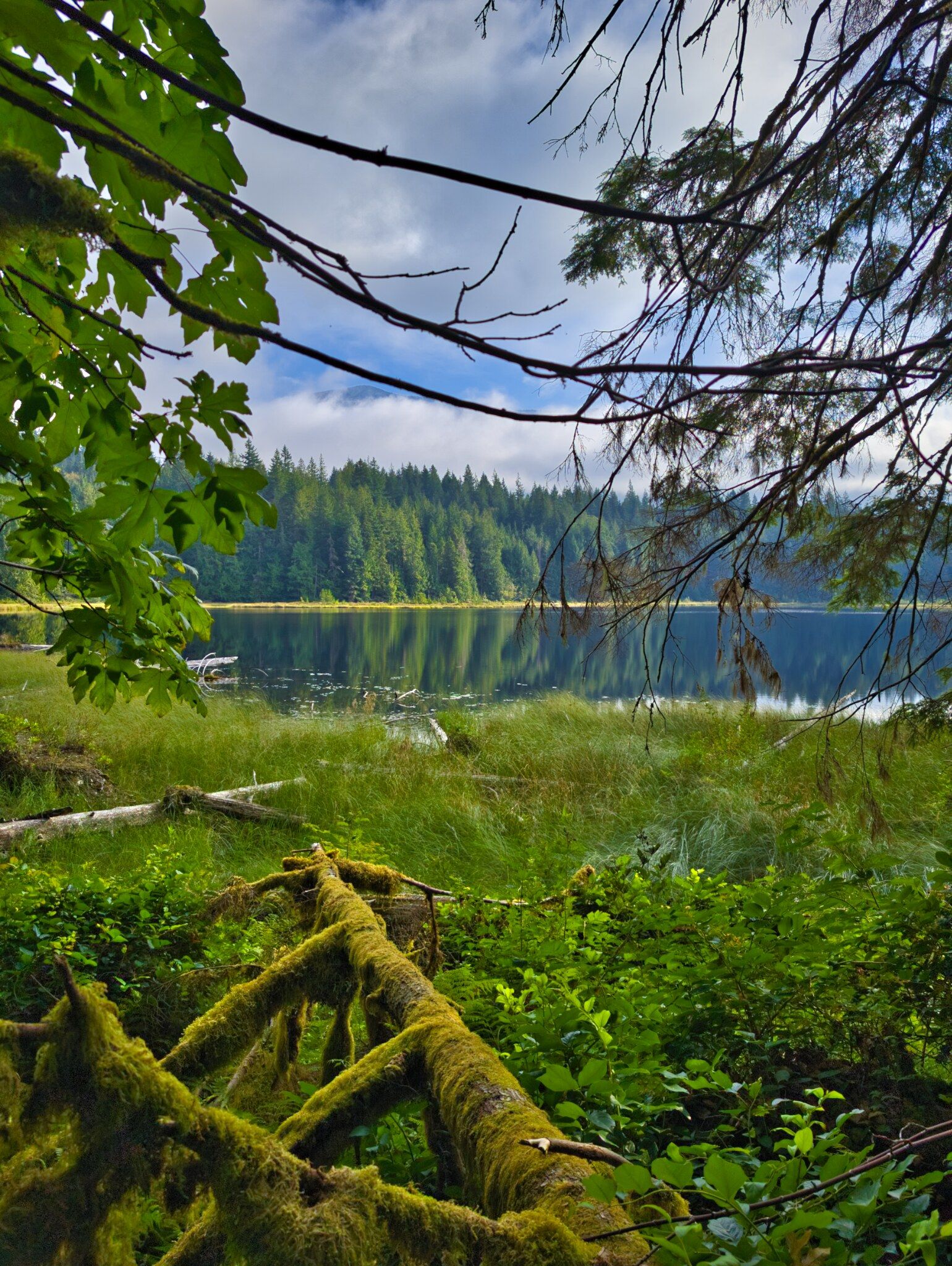 SCT Day 4: Haywire Bay to Confederation Lake Hut