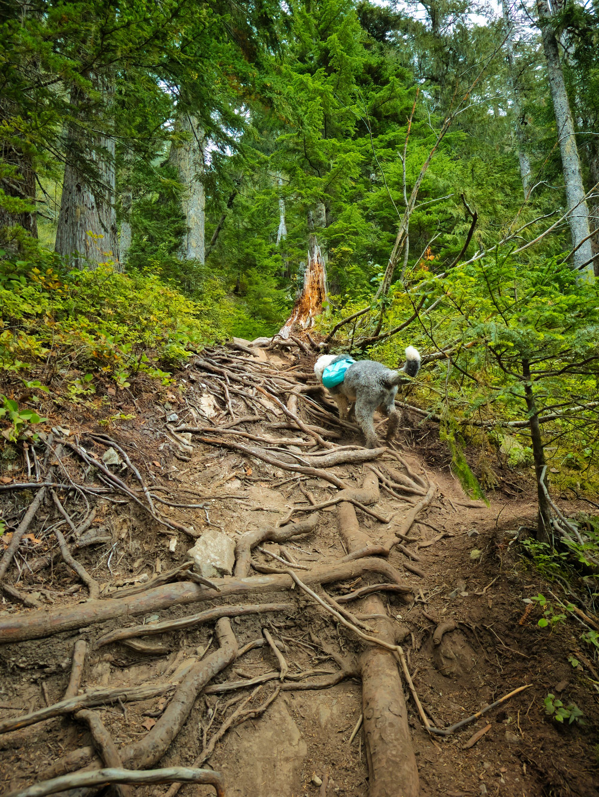 A weekend adventure to Peak 5040