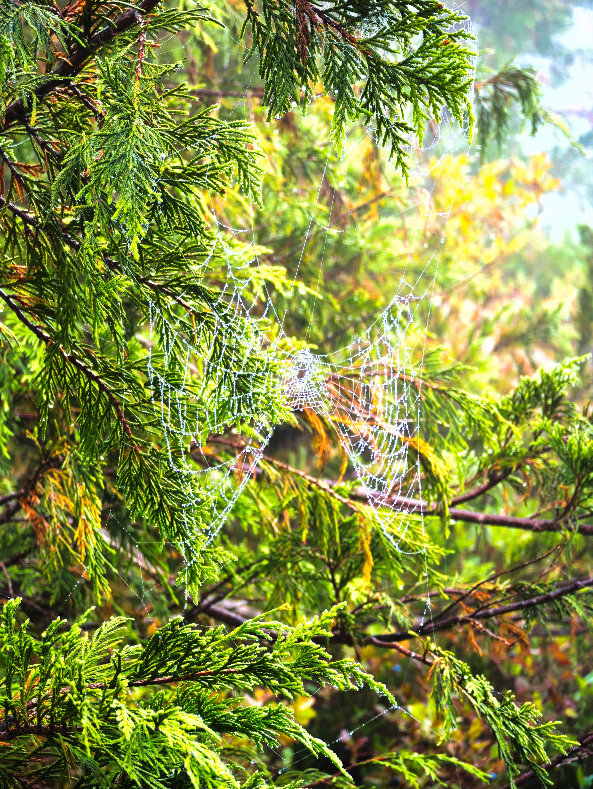 A weekend adventure to Peak 5040