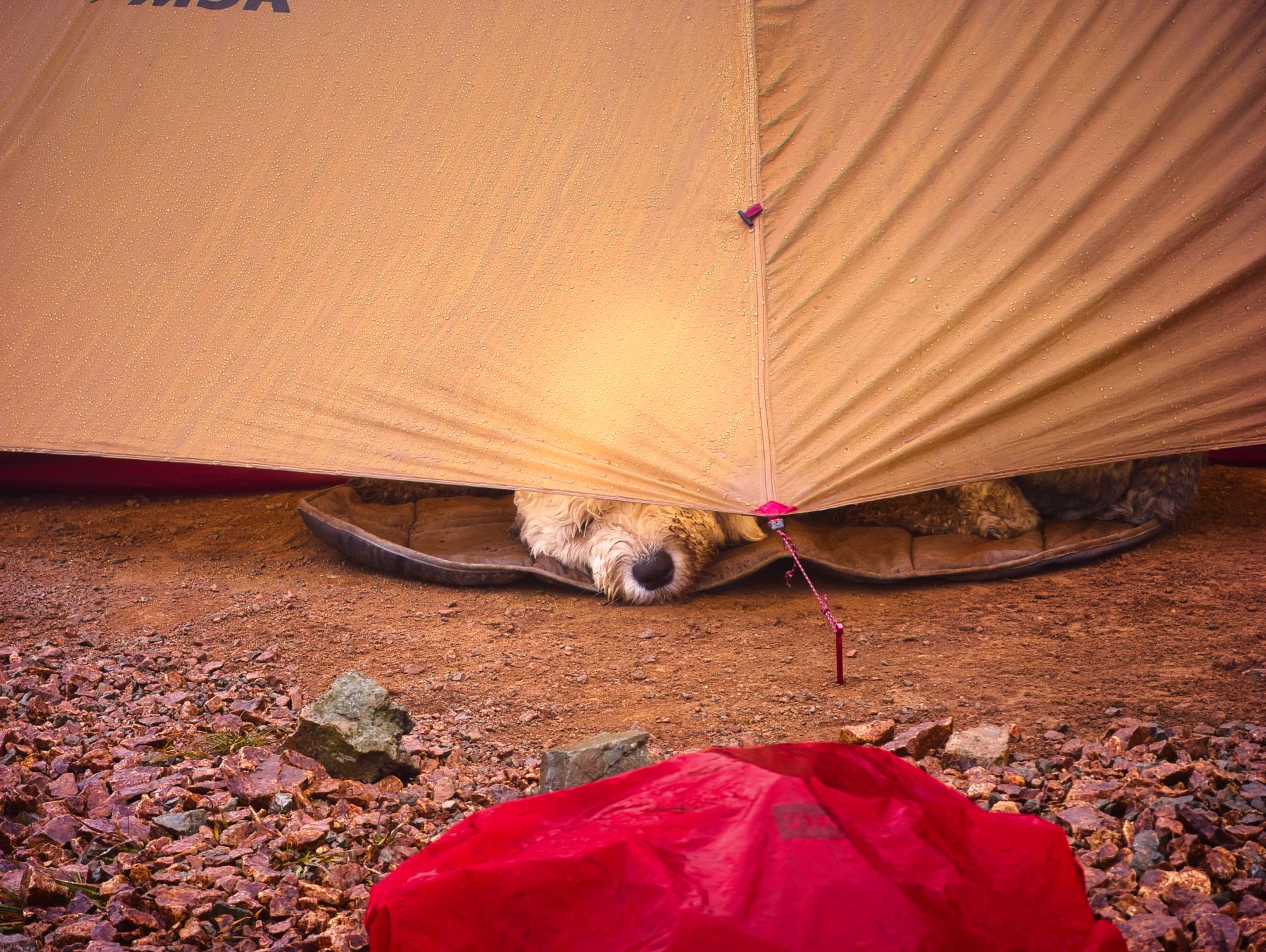 A weekend adventure to Peak 5040