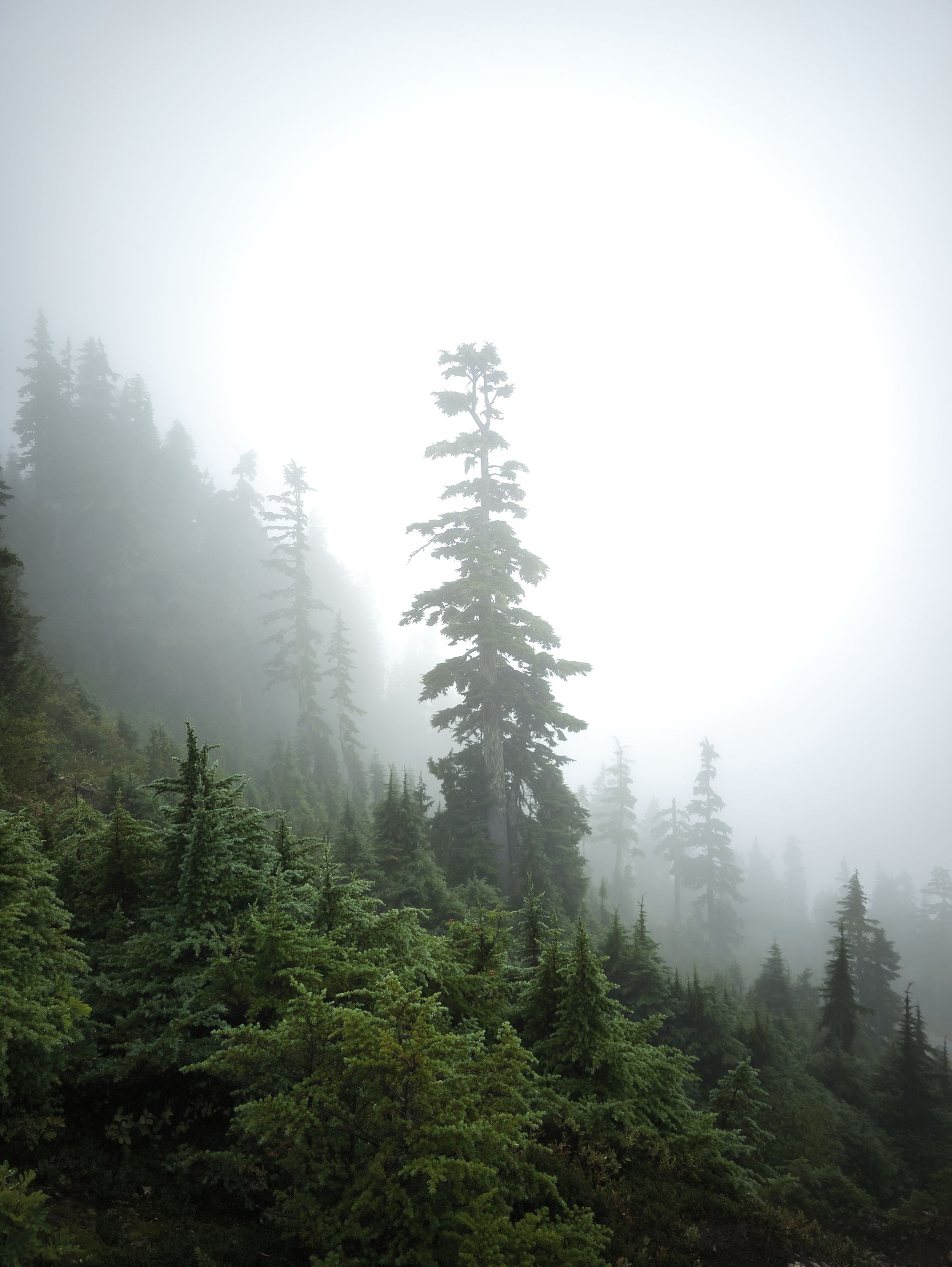 A weekend adventure to Peak 5040