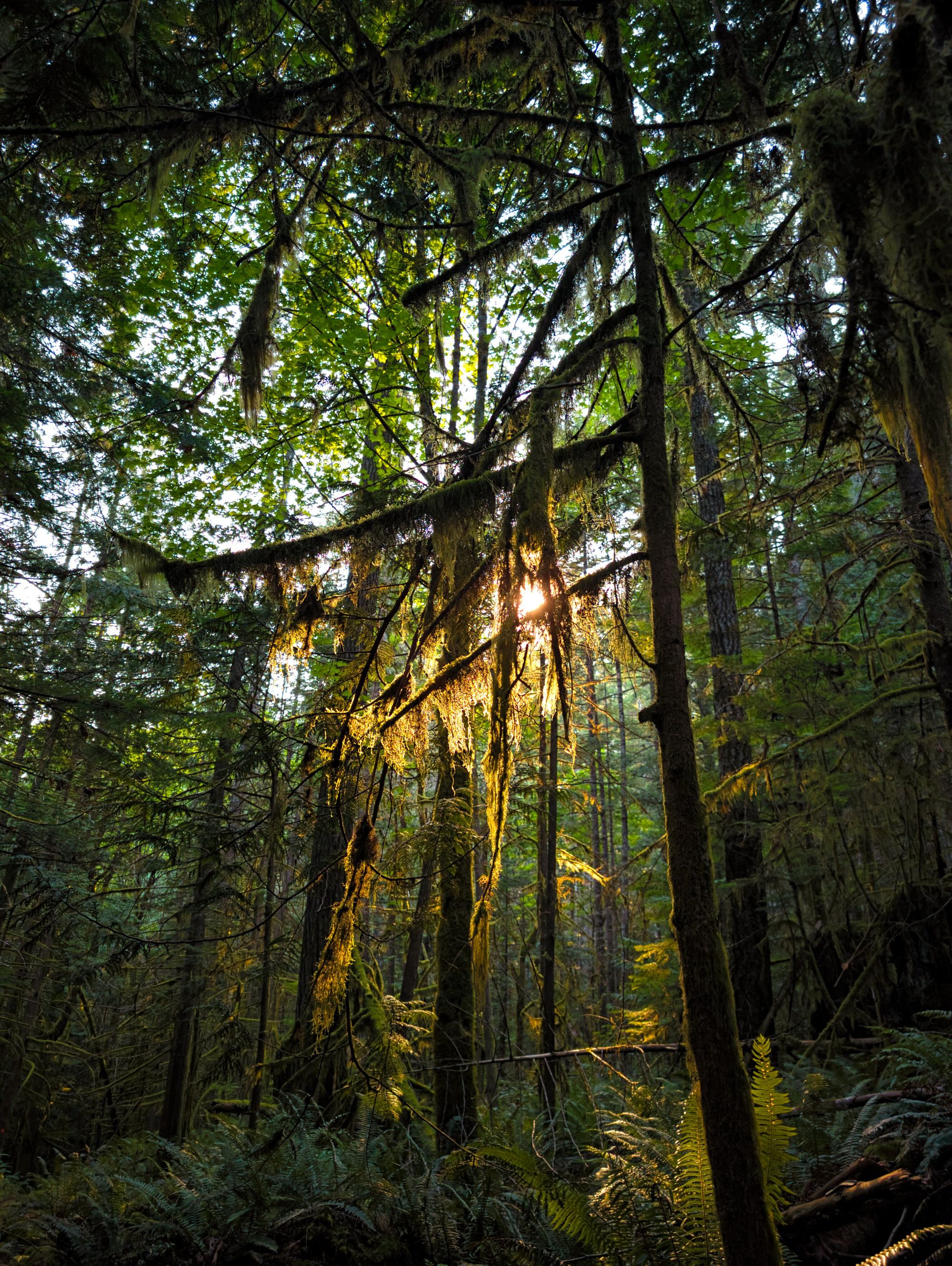 SCT Day 9: Golden Stanley to Fairview Bay