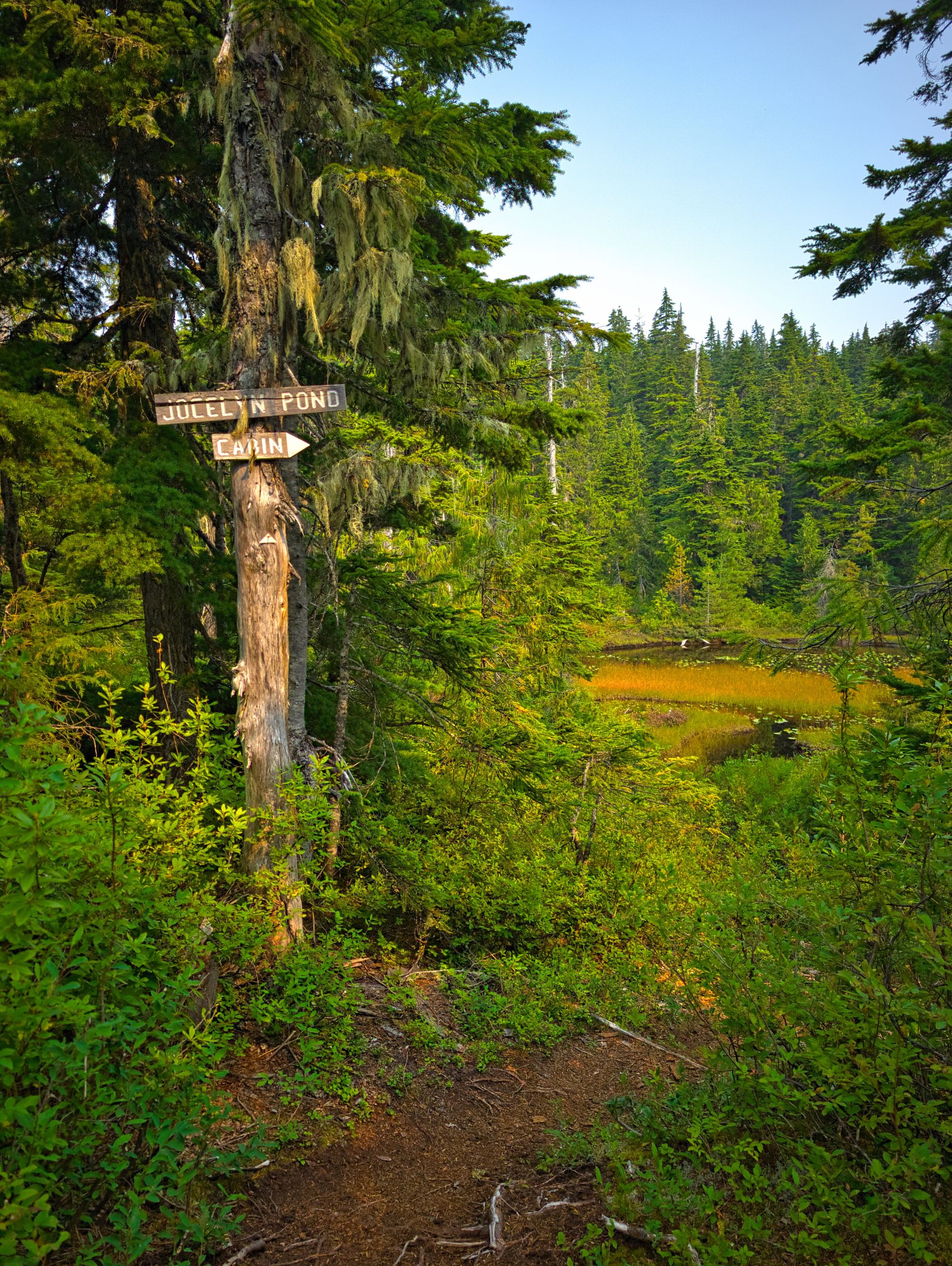 SCT Day 9: Golden Stanley to Fairview Bay