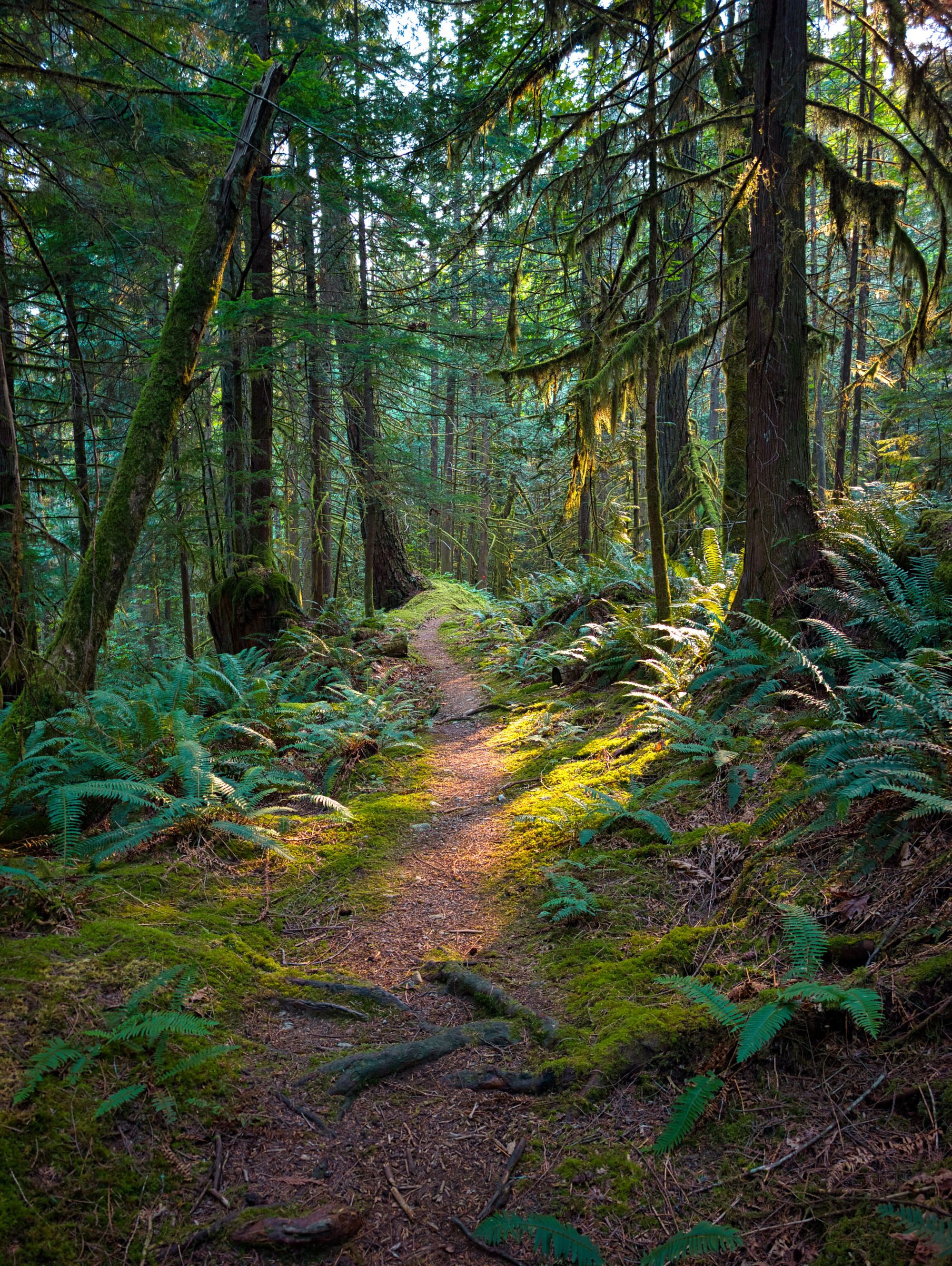 SCT Day 9: Golden Stanley to Fairview Bay