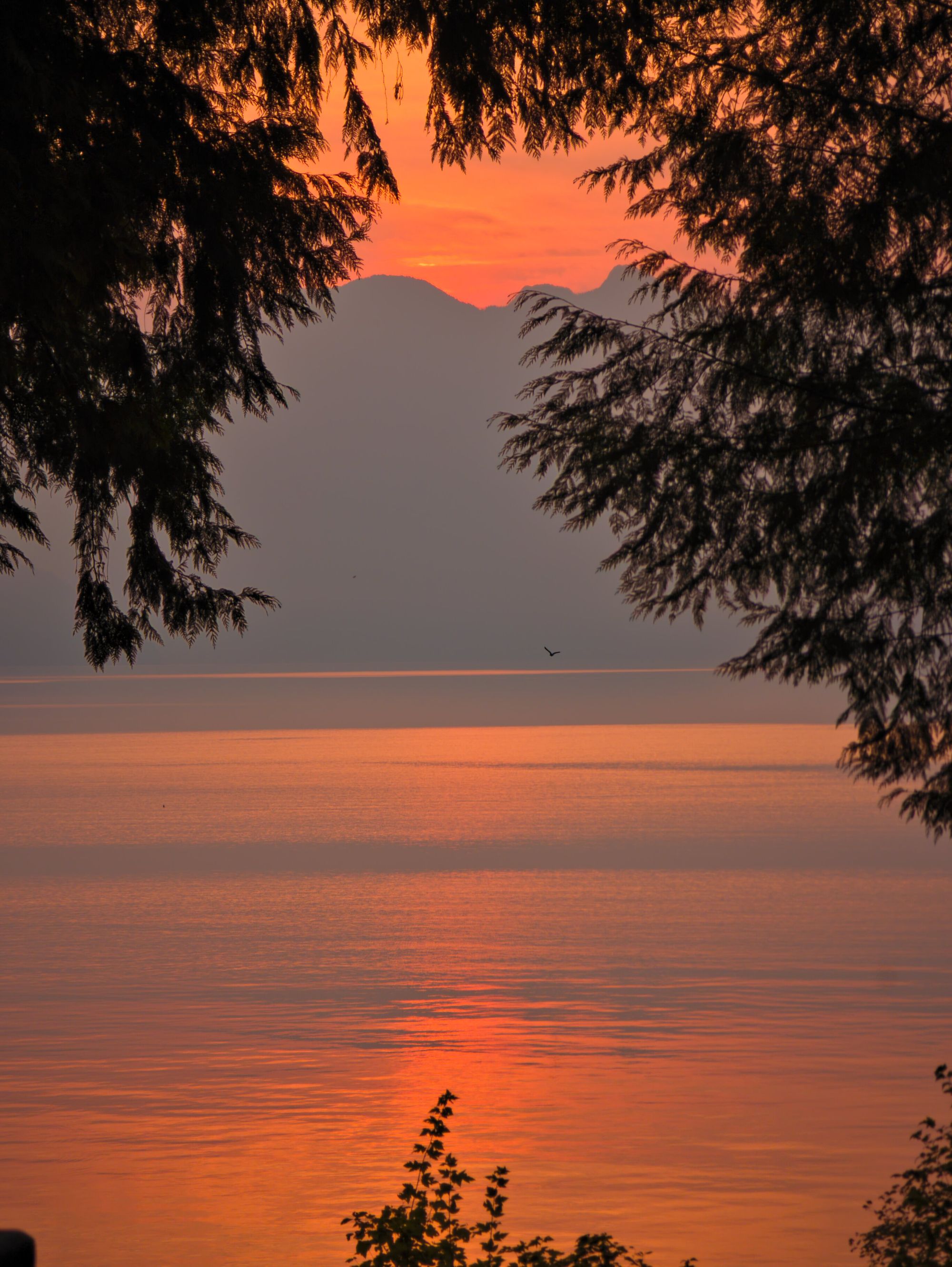 SCT Day 10: Fairview Bay to Saltery Bay