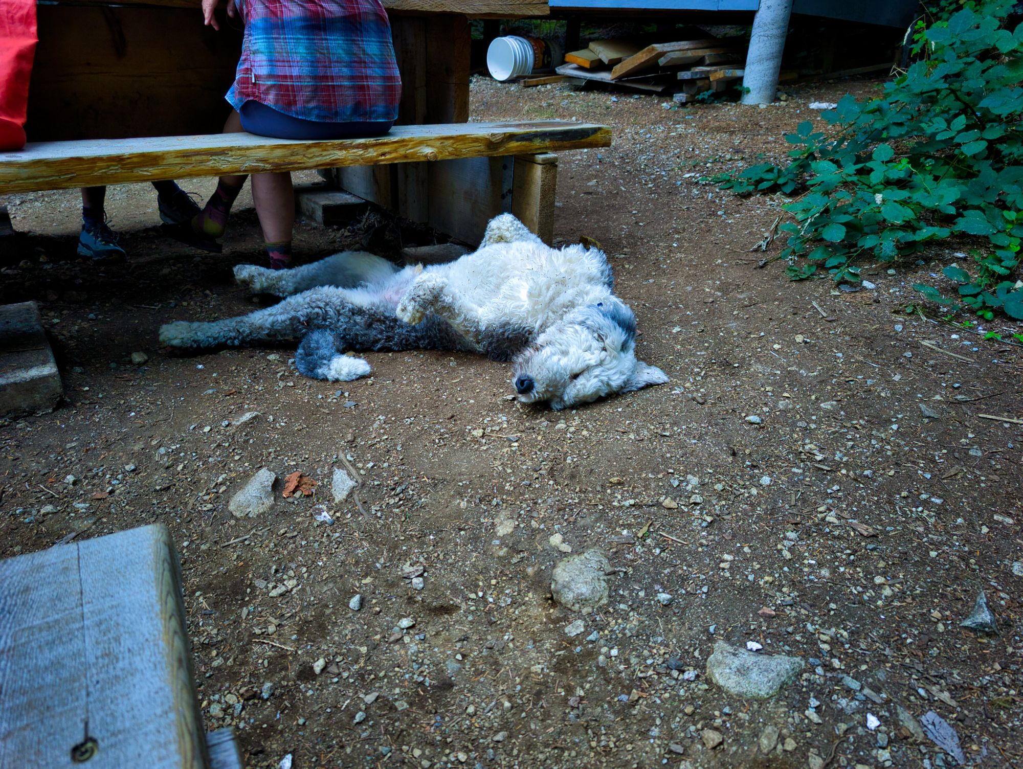 SCT Day 9: Golden Stanley to Fairview Bay