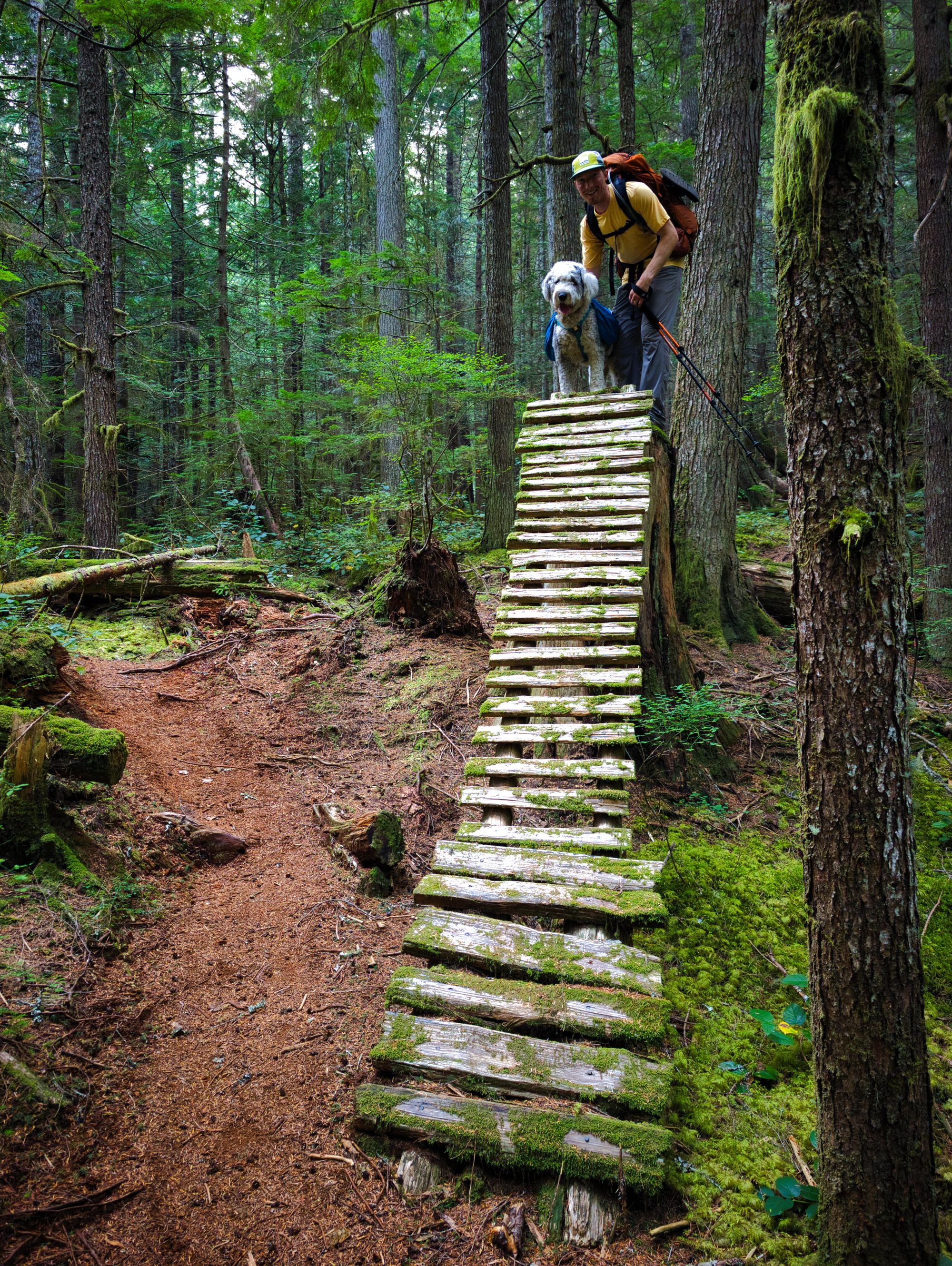 SCT Day 9: Golden Stanley to Fairview Bay