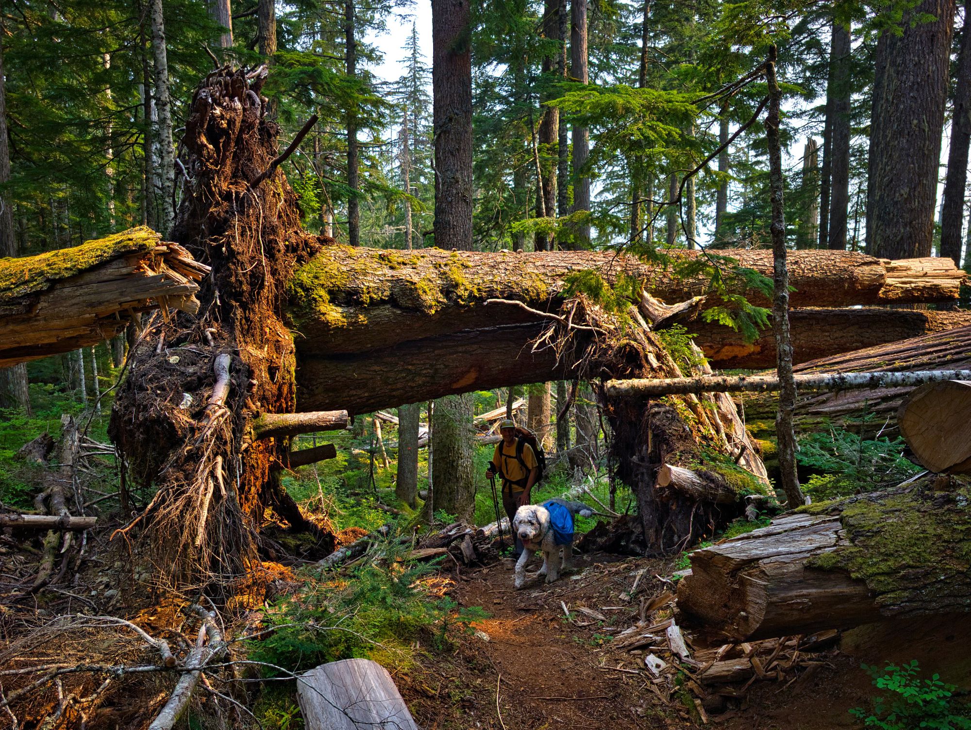 SCT Day 9: Golden Stanley to Fairview Bay