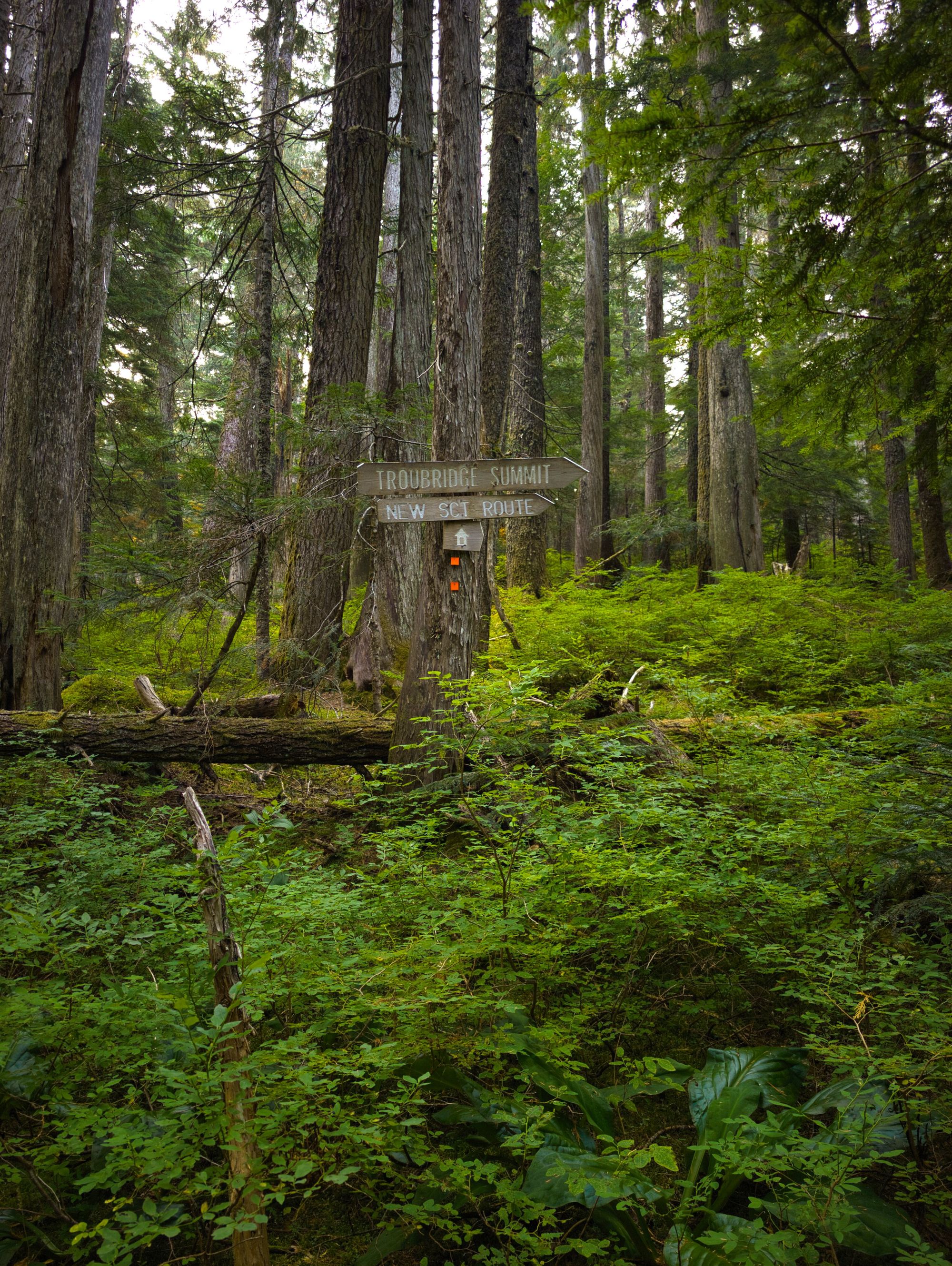 SCT Day 9: Golden Stanley to Fairview Bay