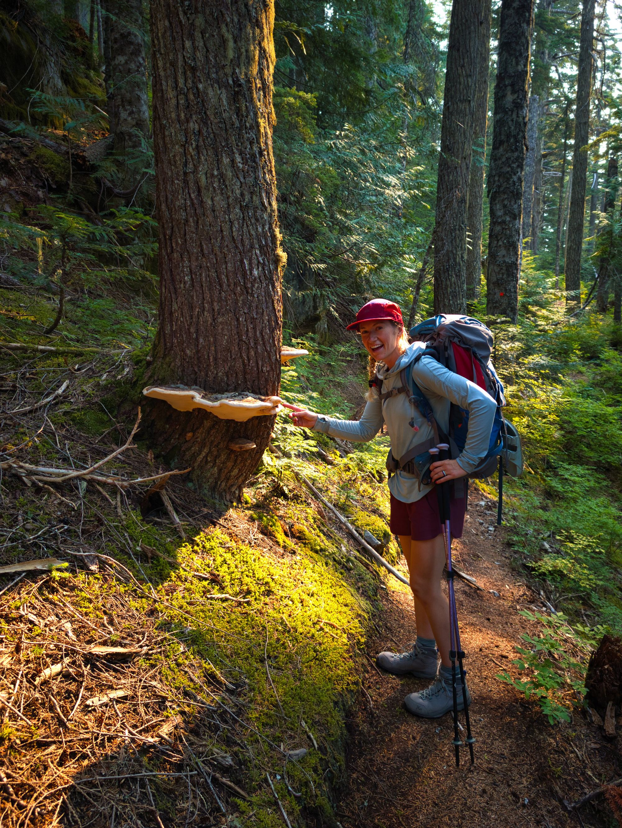 SCT Day 9: Golden Stanley to Fairview Bay