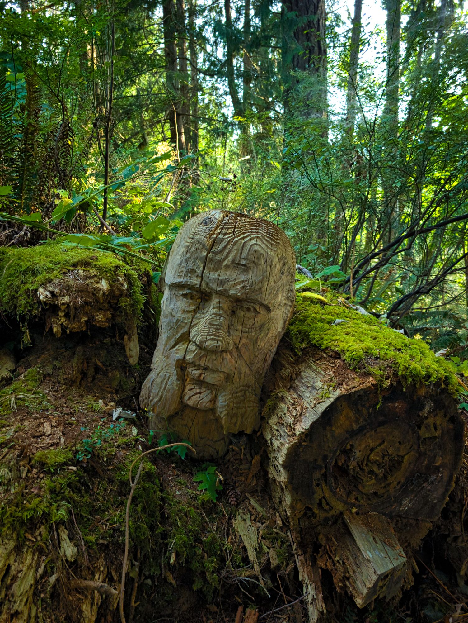 SCT Day 10: Fairview Bay to Saltery Bay